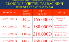 Lắp Đặt Mạng Wifi Viettel Bắc Ninh